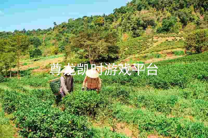 尊龙凯时游戏平台