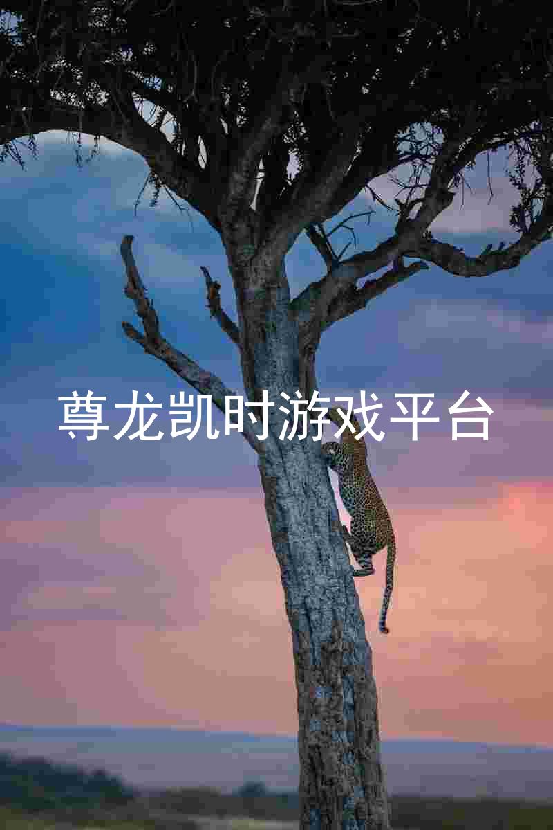 尊龙凯时游戏平台