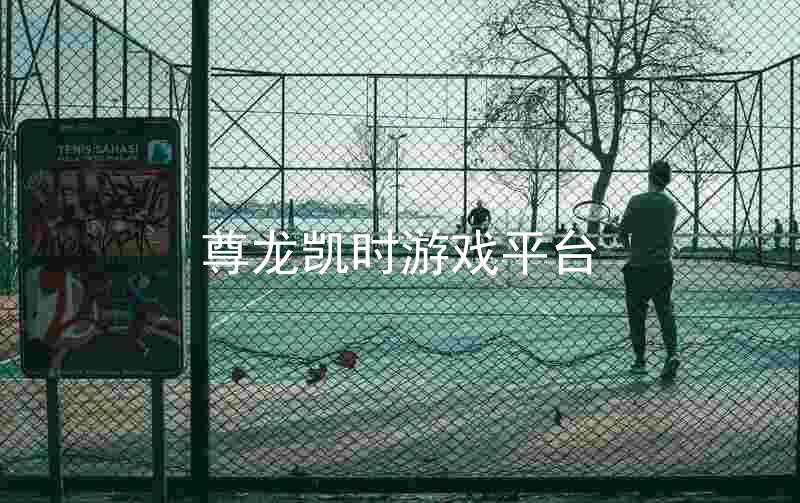 尊龙凯时游戏平台